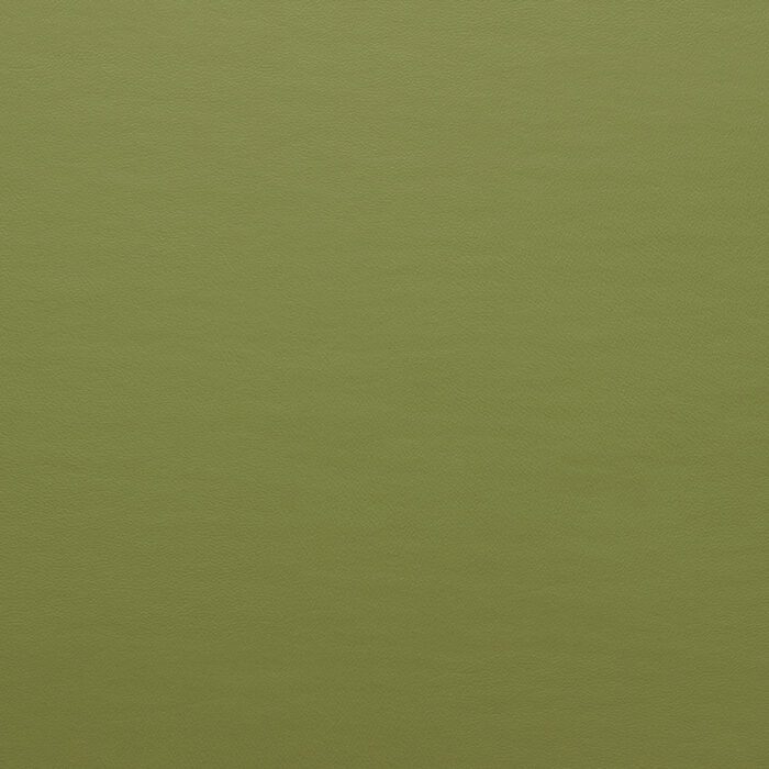 Zest Wasabi
