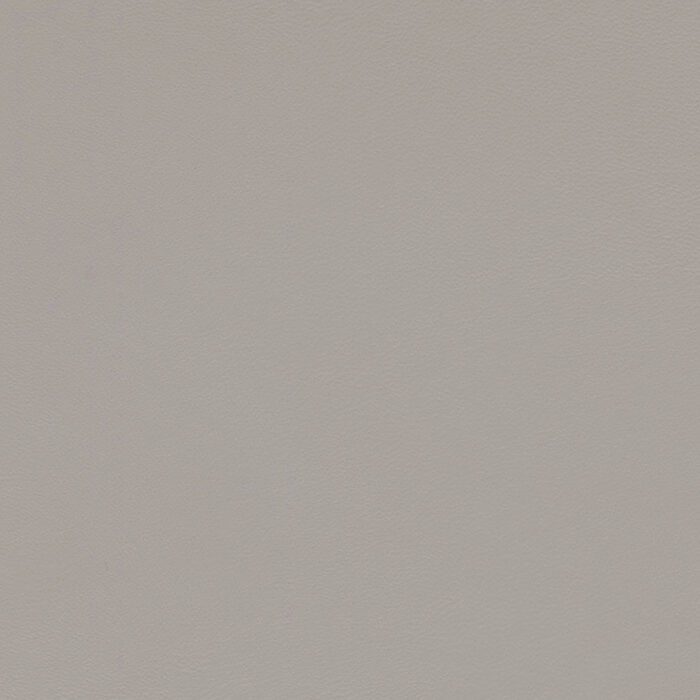 Zest Silver