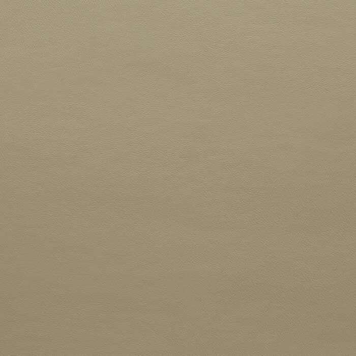 Zest Putty