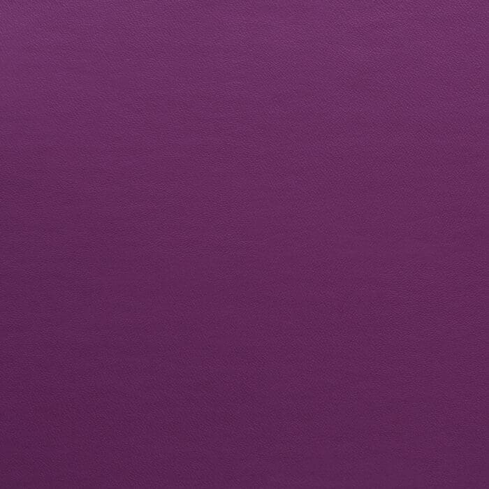 Zest Violet