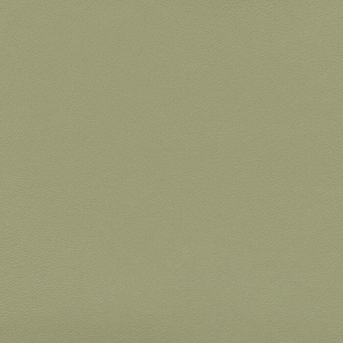 Zest Moss